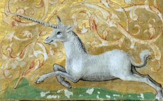 unicorno